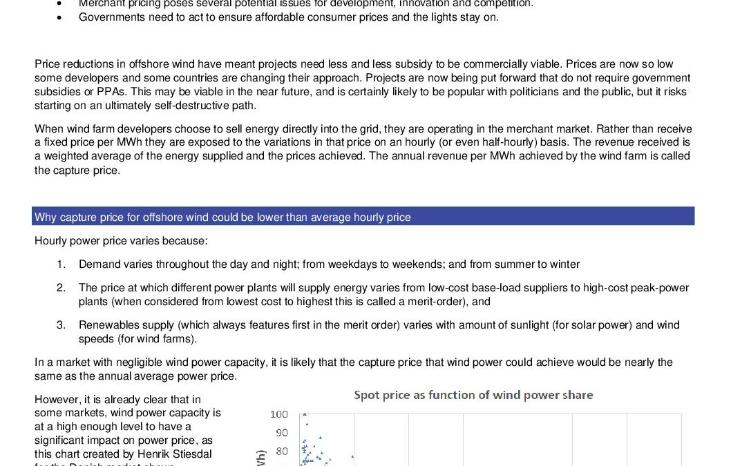 BVGA Capture Price White Paper