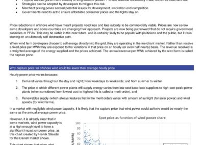 BVGA Capture Price White Paper