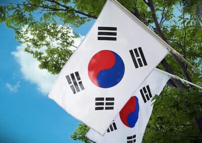 Support to Government of South Korea