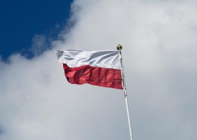 Polish supply chain studies and strategy
