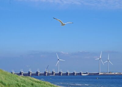 Nearshore leadership in US state waters