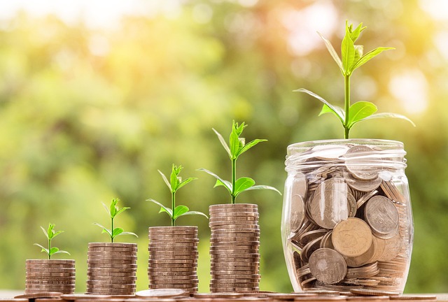 Investing in innovation