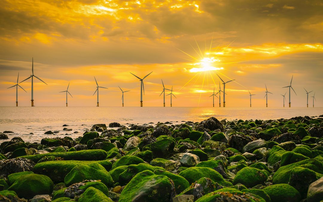 consenting e-learning modules